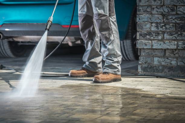 Best Rust Removal  in East Ithaca, NY