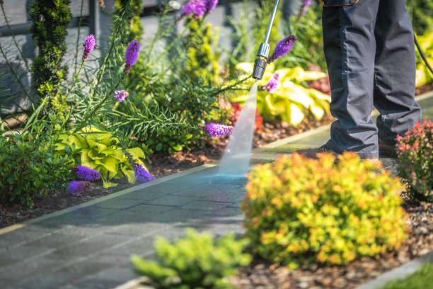 Reliable East Ithaca, NY Pressure Washing Services Solutions